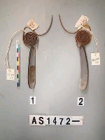 藏品(貝片耳飾)的圖片